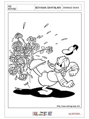 Donald Duck boyama sayfaları